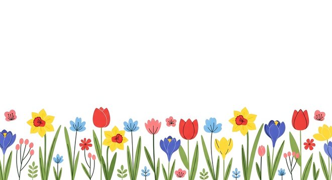 Spring flower border with colorful tulips and daffodils on white background