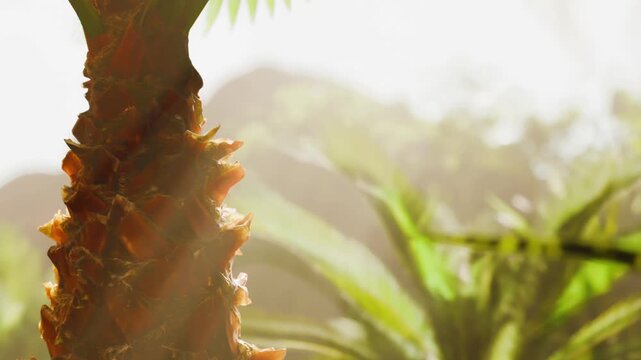 A pineapple grows on a tropical plant in a bright setting. Sunlight shines through foliage, creating an interesting view. The background is blurred with green leaves.