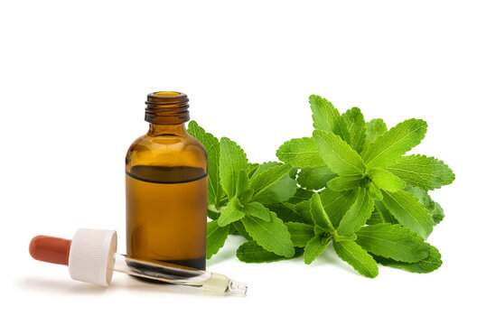 Stevia Herbal Extract with Dropper Bottle Isolated on White Background