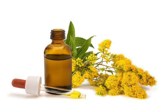 Solidago gigantea herbal extract with dropper bottle isolated on white background