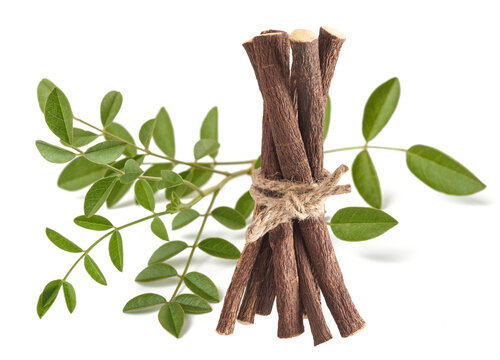 licorice branch  with leaves and roots