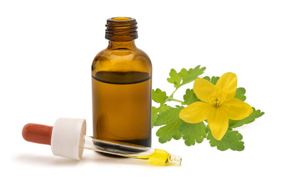 Celandine flower with dropper and herbal extract bottle isolated on white background
