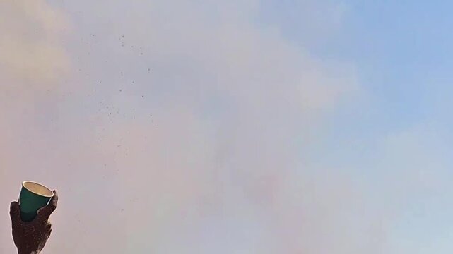 Vibrant powder explosions against a clear sky capturing festival colors