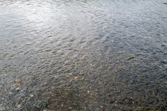 Rustling water with visible stones and plants