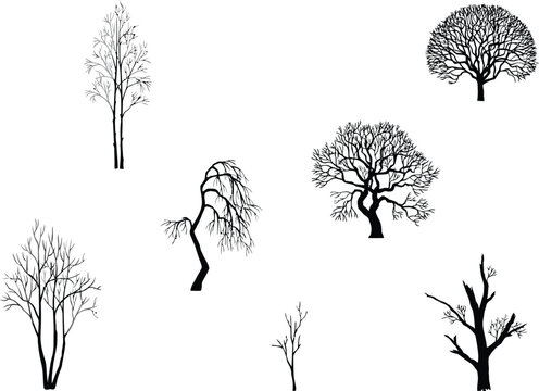 Leafless winter tree silhouettes set isolated on white