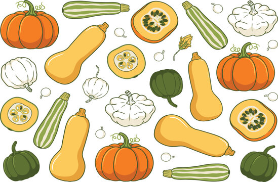 Autumn pumpkin and squash hand-drawn vector set