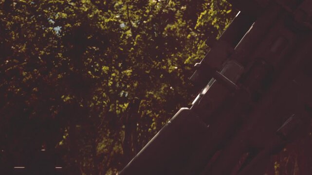 A historical artillery piece rests amid trees in a wooded area. The sun casts shadows as the day moves into evening, highlighting the metal structure. Nature surrounds this relic.
