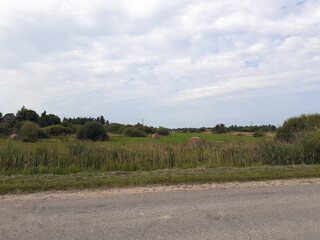 Naklejka premium Hay Bales in Rural Field Landscape. A green mown meadow with lush trees and bushes. Cloudy skies.