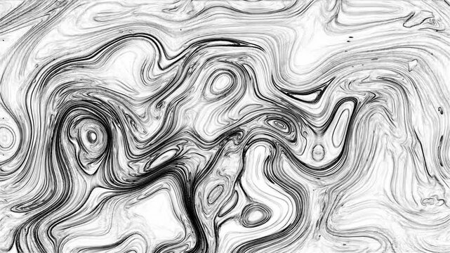 Abstract Fluid Art Featuring Black Ink Mixing In White Liquid. Smooth, Flowing Lines Create A Monochrome Background With Organic Patterns.