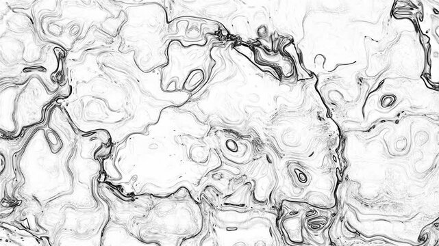 Abstract Fluid Art With Black Ink Swirling In White Liquid. Monochrome Background Featuring Thin Lines And Organic Shapes.