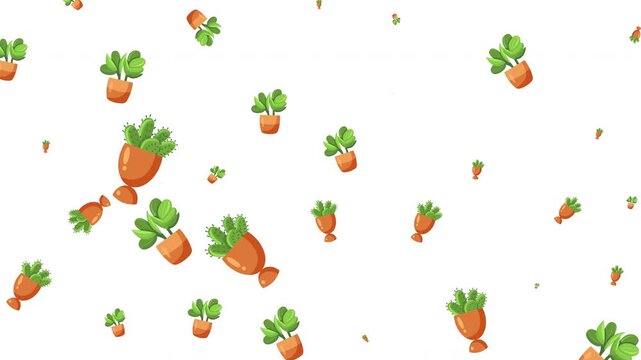 Cute cartoon potted succulents and cacti pattern background on isolated white.