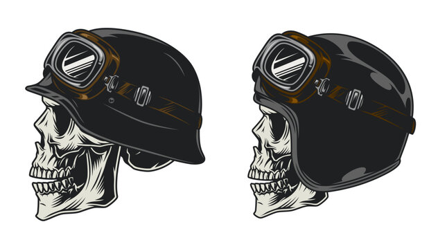 vector illustration