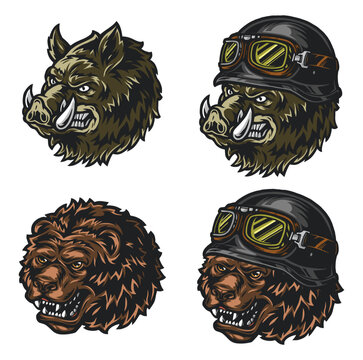 vector illustration