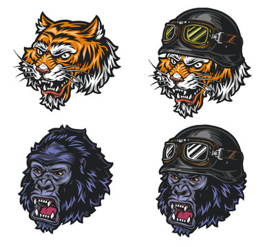 vector illustration