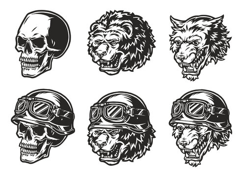vector illustration
