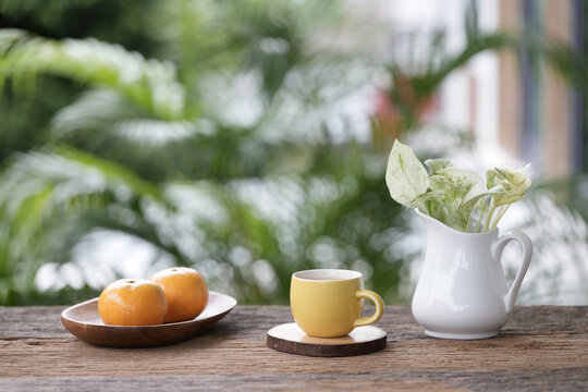 yellow cup and orange and plant pot on wooden table