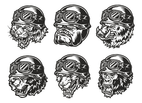 vector illustration