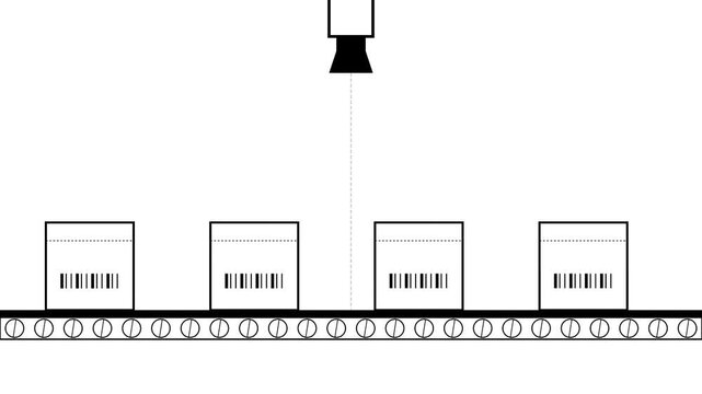 Automated industrial conveyor belt scanning barcodes on packages for logistics and warehouse sorting