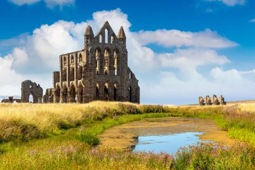 Historic medieval Whitby Abbey Ruins Reflected in Pond in Whitby, England, UK © Sergii Figurnyi