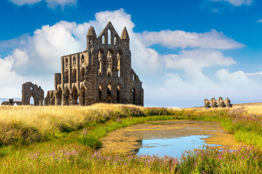 Historic medieval Whitby Abbey Ruins Reflected in Pond in Whitby, England, UK