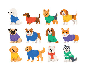 Obraz premium Sweater Dog Collection — bright flat vector icon set of 12 isolated dog characters including poodle, dachshund, terrier, beagle, pug, bulldog, spaniel, corgi, seated puppy, standing dog, scarf dog,