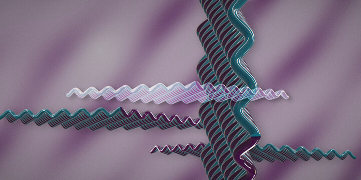 Abstract 3d render of twisted helix tubes crossing with soft gradient lighting and glossy surfaces. Modern minimal sci fi aesthetic with subtle noise texture.