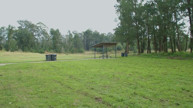 Footage of the seated picnic shelters located near the Grose River and surrounded by bushland at Yarramundi Reserve in the Hawkesbury region of New South Wales, Australia