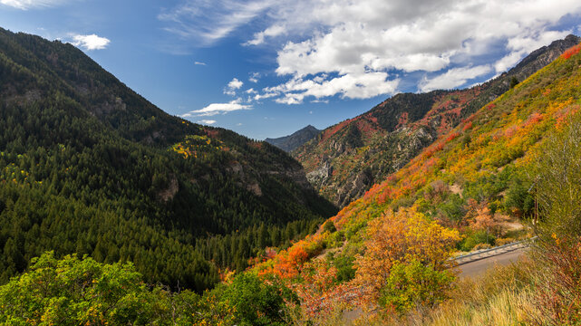 Autumn foliage in Little Cottonwood Canyon, Utah mountains