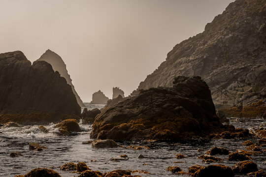 Rocks in the ocean in the fog