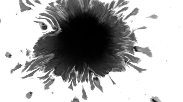 Black Ink Splash Reveal for Advertising Intros, Logo Reveals and Dramatic Video Transitions