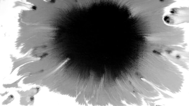 Center Ink Burst Explosion Video on White Background for Logo Reveal Animation, Product Launch Reveal and Event Opening Title Sequence