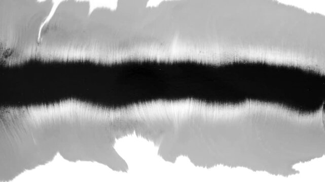 Horizontal Ink Stripe Spread Video on White Background for Text Reveal Transitions, Web Banner Animation and Video Chapter Divider