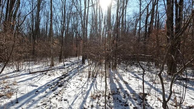 hiking icy trail in the Great Swamp on a snowy cold sunny February day