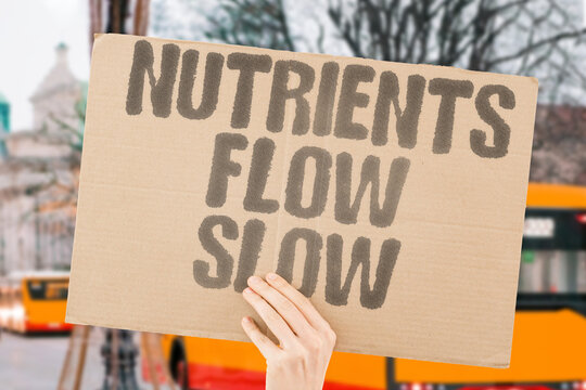 "Nutrients flow slow" Diffusion process gradual and passive. DIFFUSION. PROCESS. GRADUAL. PASSIVE. TRANSPORT.