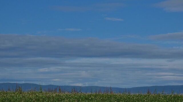Highland grassland landscape with a group of wind turbines standing above distant mountain ranges in the background.