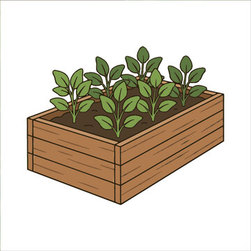 Wooden garden bed with growing green plants. SVG Editable. Vector Illustrations.