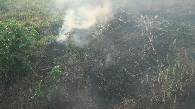Dense smoke rising from a pile of burning dry brush and vegetation in a field.