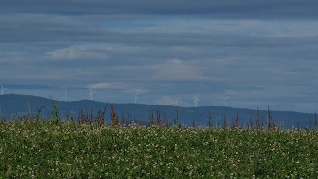 Highland grassland landscape with a group of wind turbines standing above distant mountain ranges in the background.