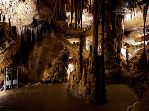 Illuminated limestone shields and formations in Lehman Caves