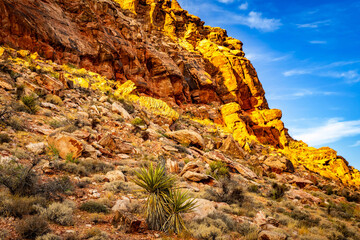 Red sandstone mountain cliffs in Calico Basin Nevada © PhotoSpirit