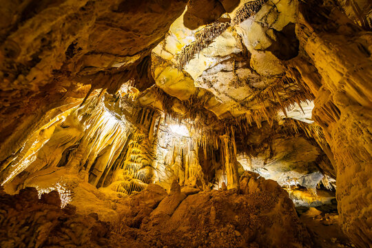 Illuminated limestone shields and formations in Lehman Caves