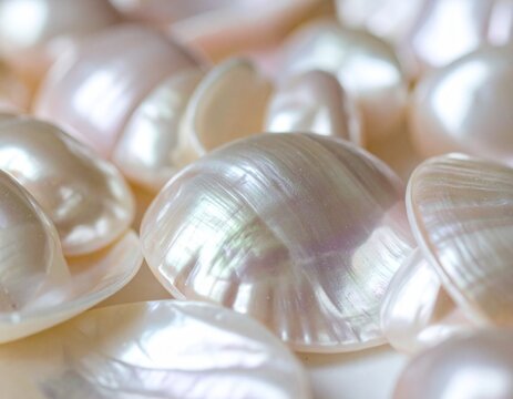 Close-up of Iridescent Mother of Pearl Shells