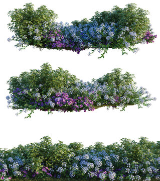 Petunia hybrida, Plumbago auriculata and Tabernaemontan tree shrub, plant bush, cutout, isolate transparent background, Vibrant Flower Border - Lush Greenery with Purple, Blue