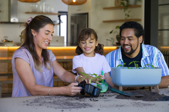 Family potting seedlings using black plastic seedling tray and green spray bottle at kitchen island