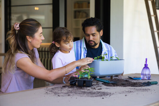 Diverse family planting seedlings on patio table with trays, trowel, soil and purple spray bottle