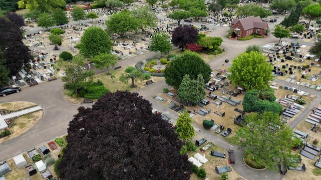 Copper beech and mature trees rise above the graves and memorials of a large suburban cemetery in high summer