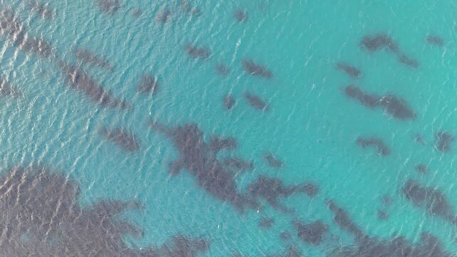 aerial water texture turquoise sea gradient into deeper blue scattered seagrass patches rippling surface malta coastal waters overhead drone footage