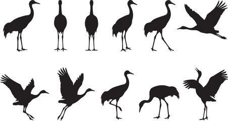 Naklejka premium Set of Black Crane Silhouettes in Various Standing and Flying Poses Isolated on White Background