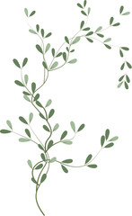 Fototapeta premium Green Leaves and Natural Branch Botanical Element