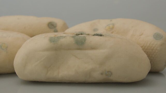 Close up shot of moldy bread showing fuzzy green and yellow spores growing on baked goods.